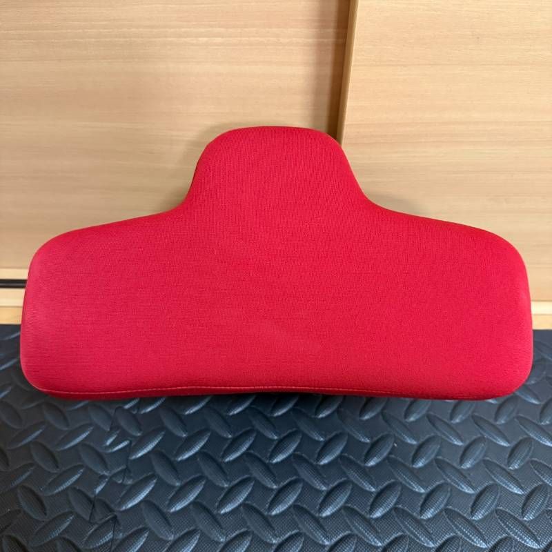 LPN SWING STRETCH スイングストレッチ StretchPole ストレッチポール