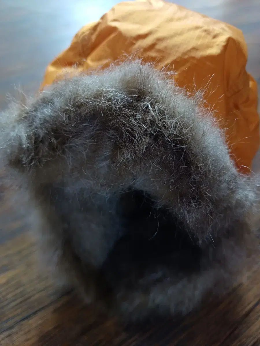 コーロンスポーツ 防風 ダウン サン SAN 58