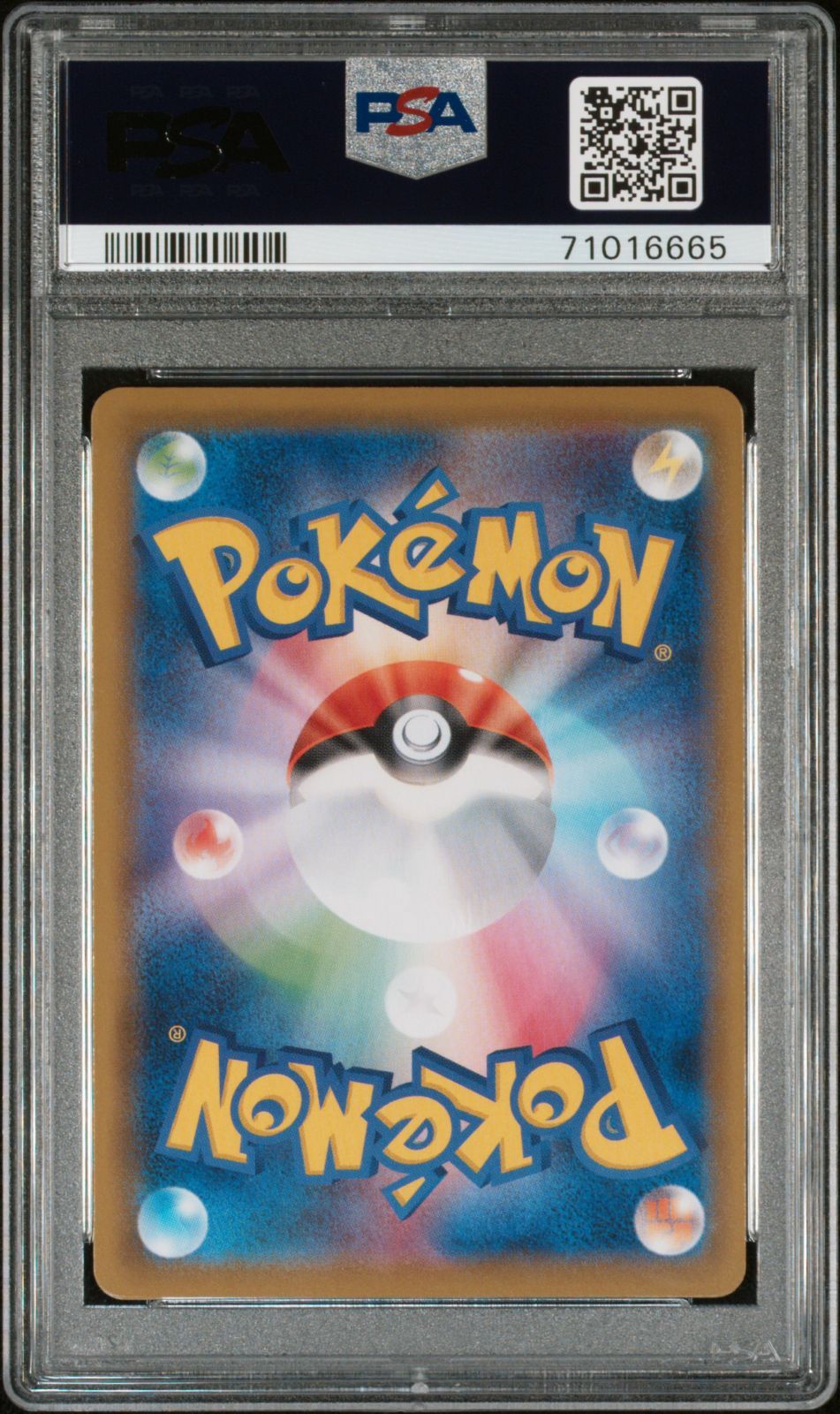 ポケモンカード PSA 10 ブラッキー V SA