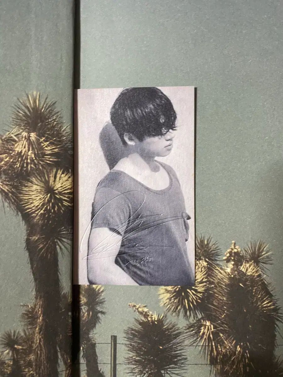 ジードラゴン G