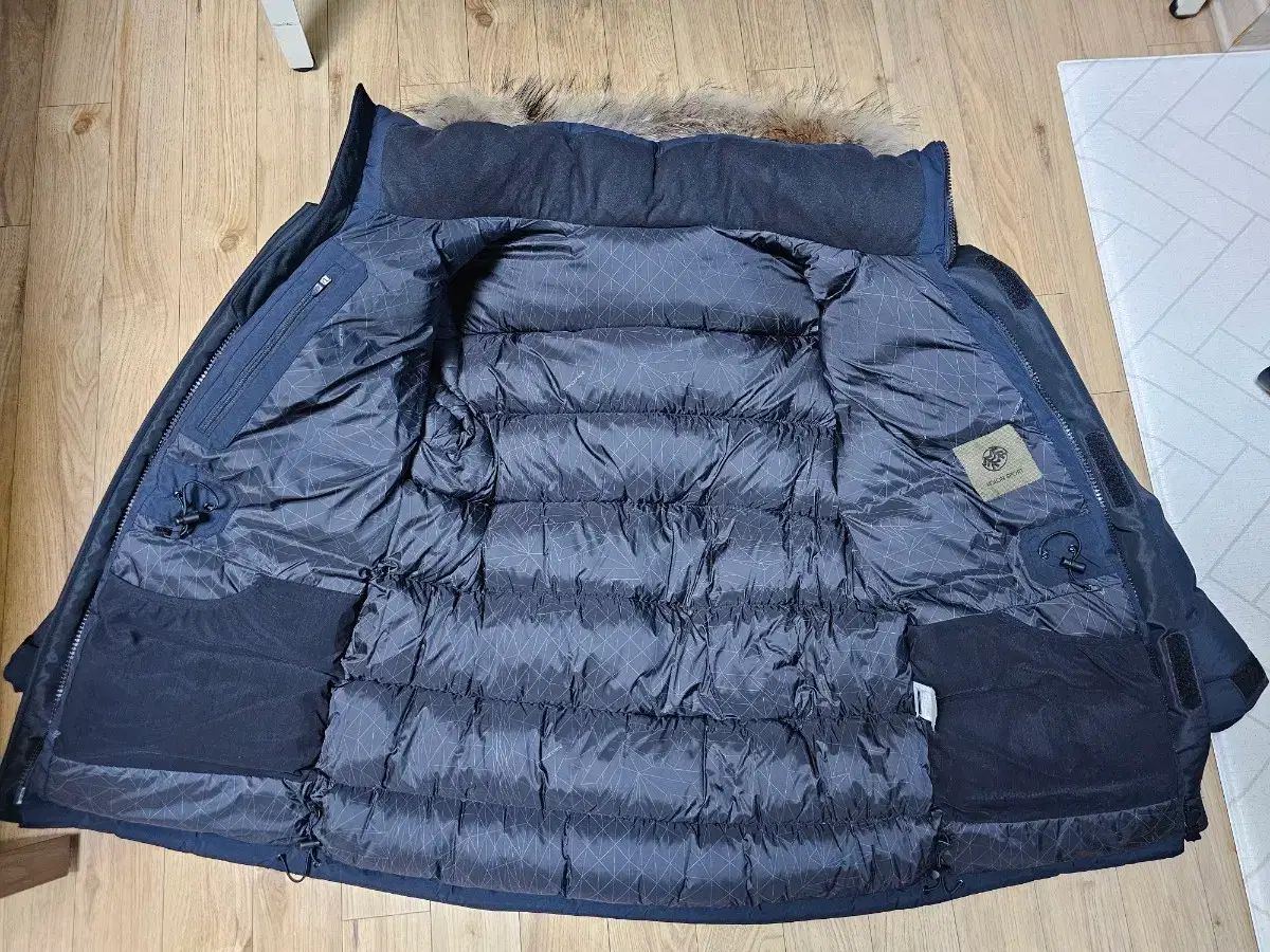 アンタークティカ