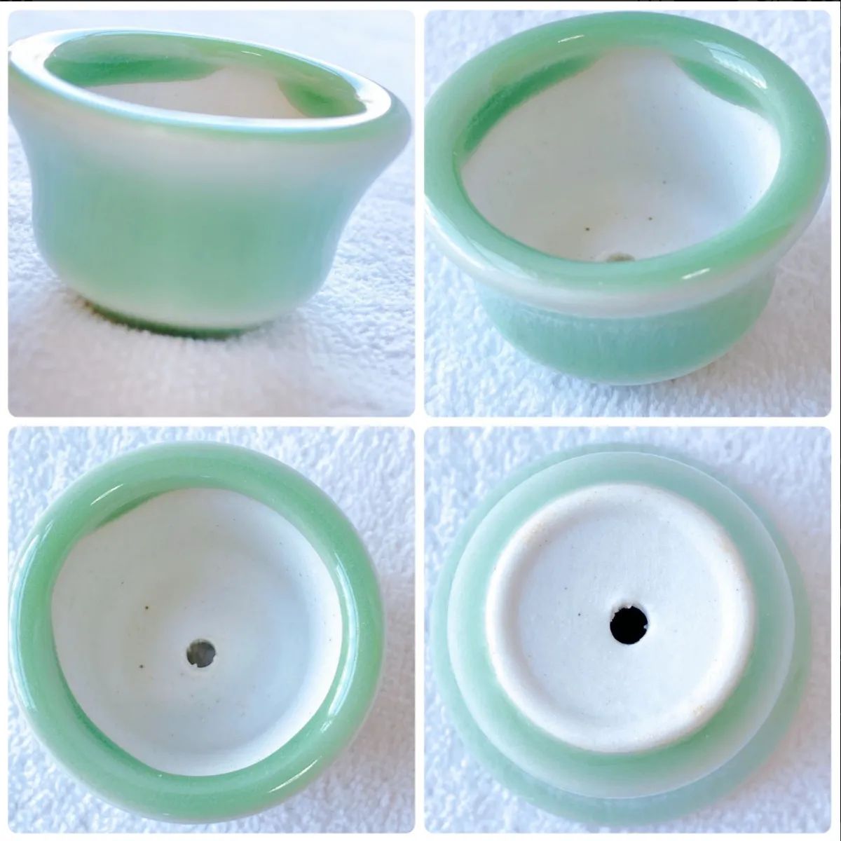 苔付き盆栽 緑色の葉 陶器鉢 お得10点セット 薄緑色の陶器植木鉢】 ミニ盆栽や苔盆栽などに！苔や