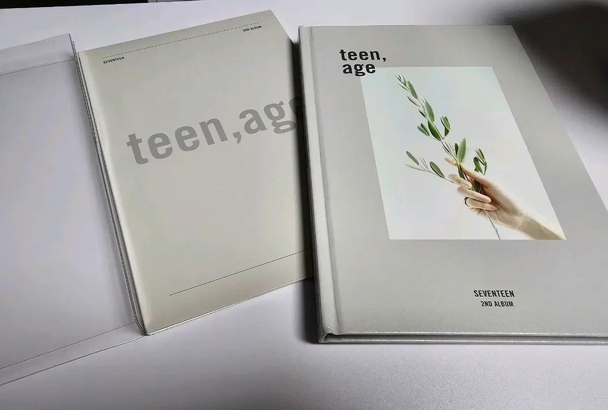SEVENTEEN teenage アルバム + エスクプス 4種 トレカ teenage