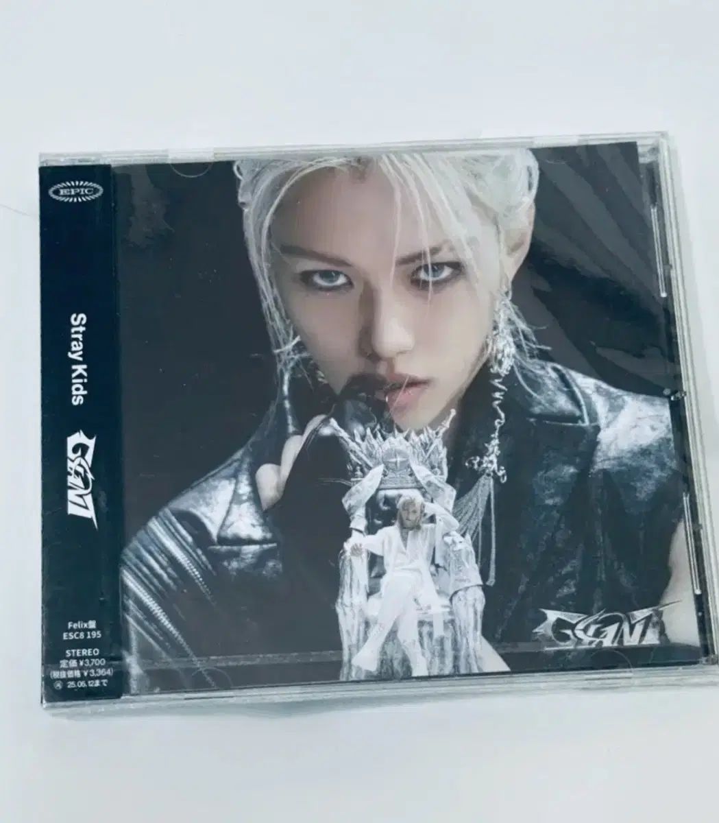 Stray Kids(ストレイキッズ・スキズ・SKZ) ジャイアント fc 限定