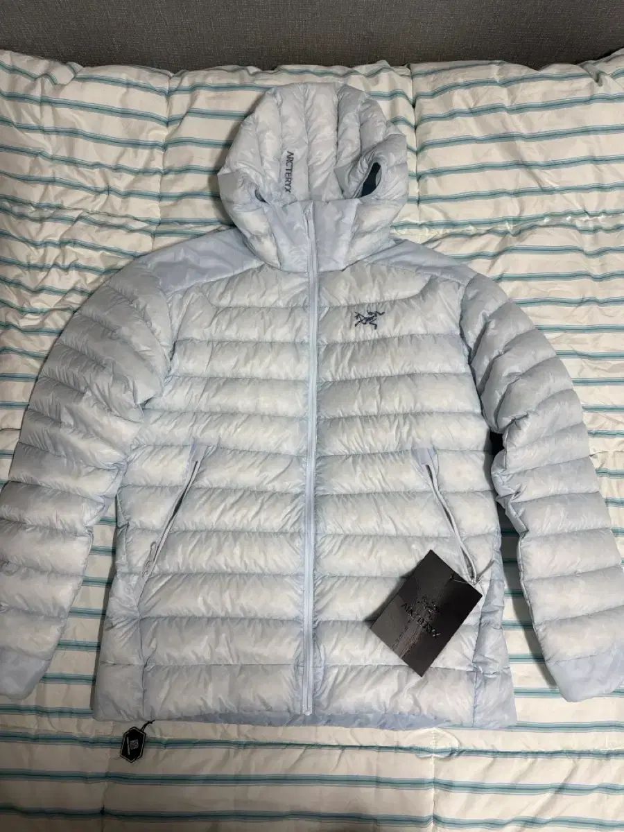 ARC TERYX Cerium フーディ デイブレイク