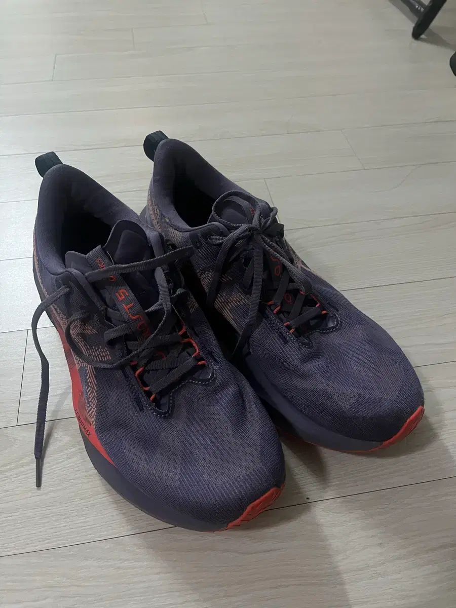 アシックス ノヴァブラスト 290