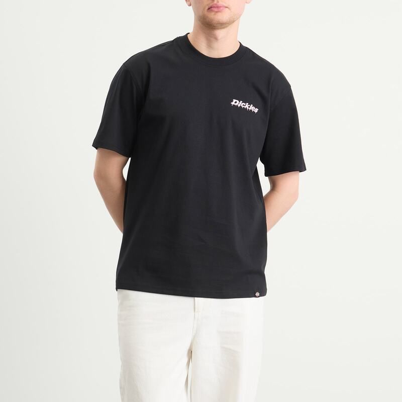 ディッキーズ メンズ トップス Tシャツ Dickiestatesville TShirt Black ブラック