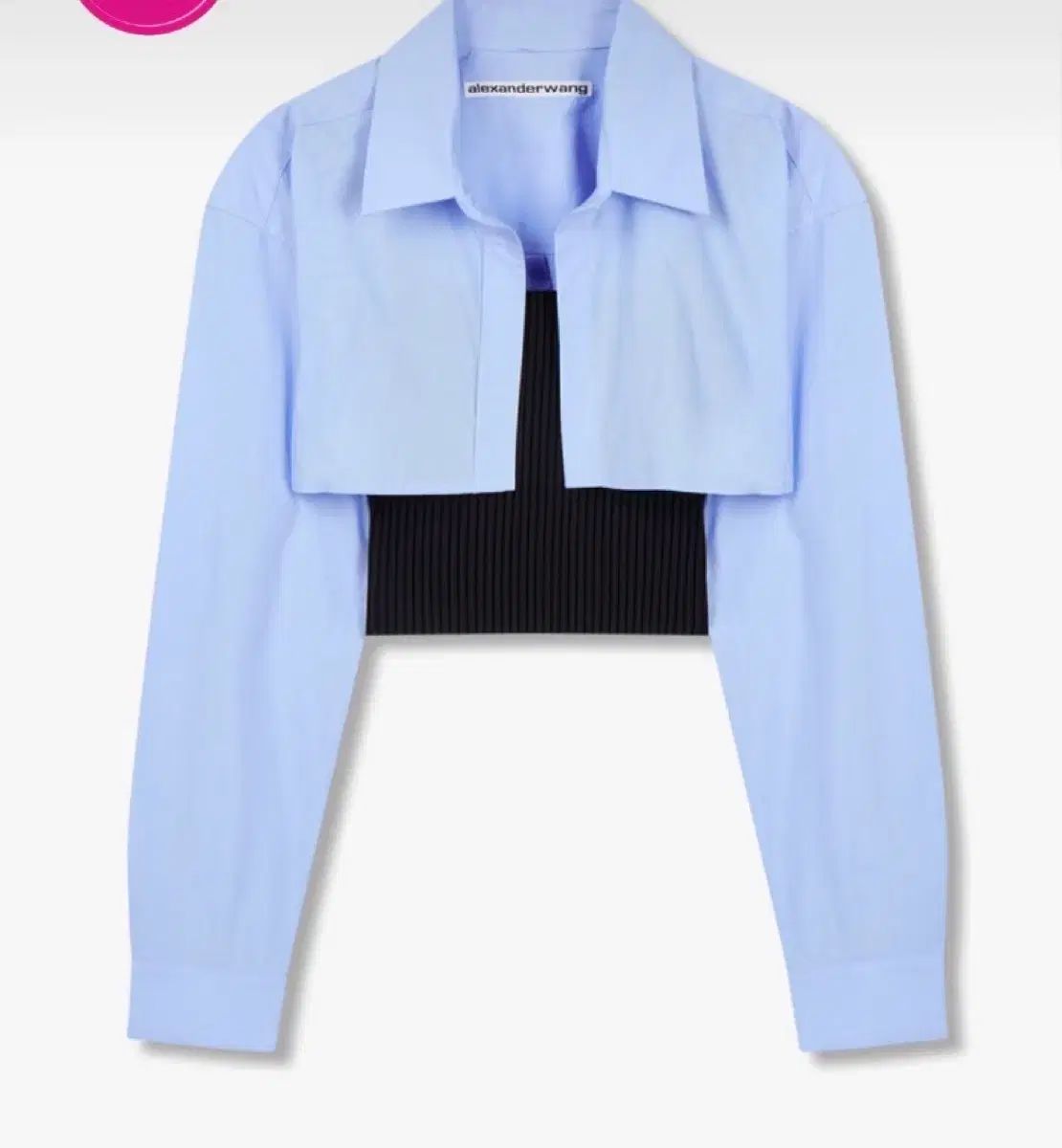 アレキサンダーワング クロップド 셔츠 リブ セット XS 着用画像あり