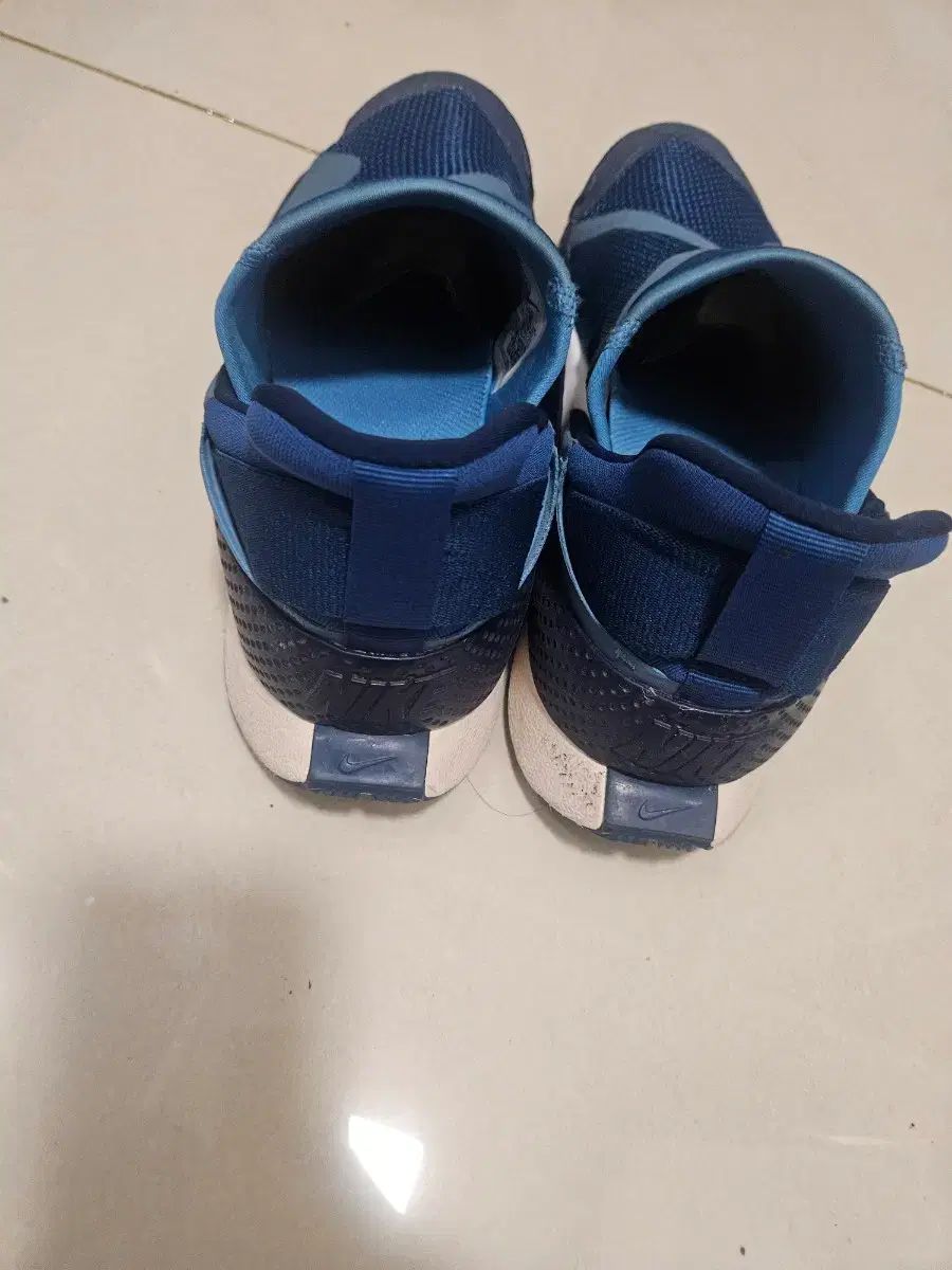 ナイキ ゴー フライイーズ ロートップ 255