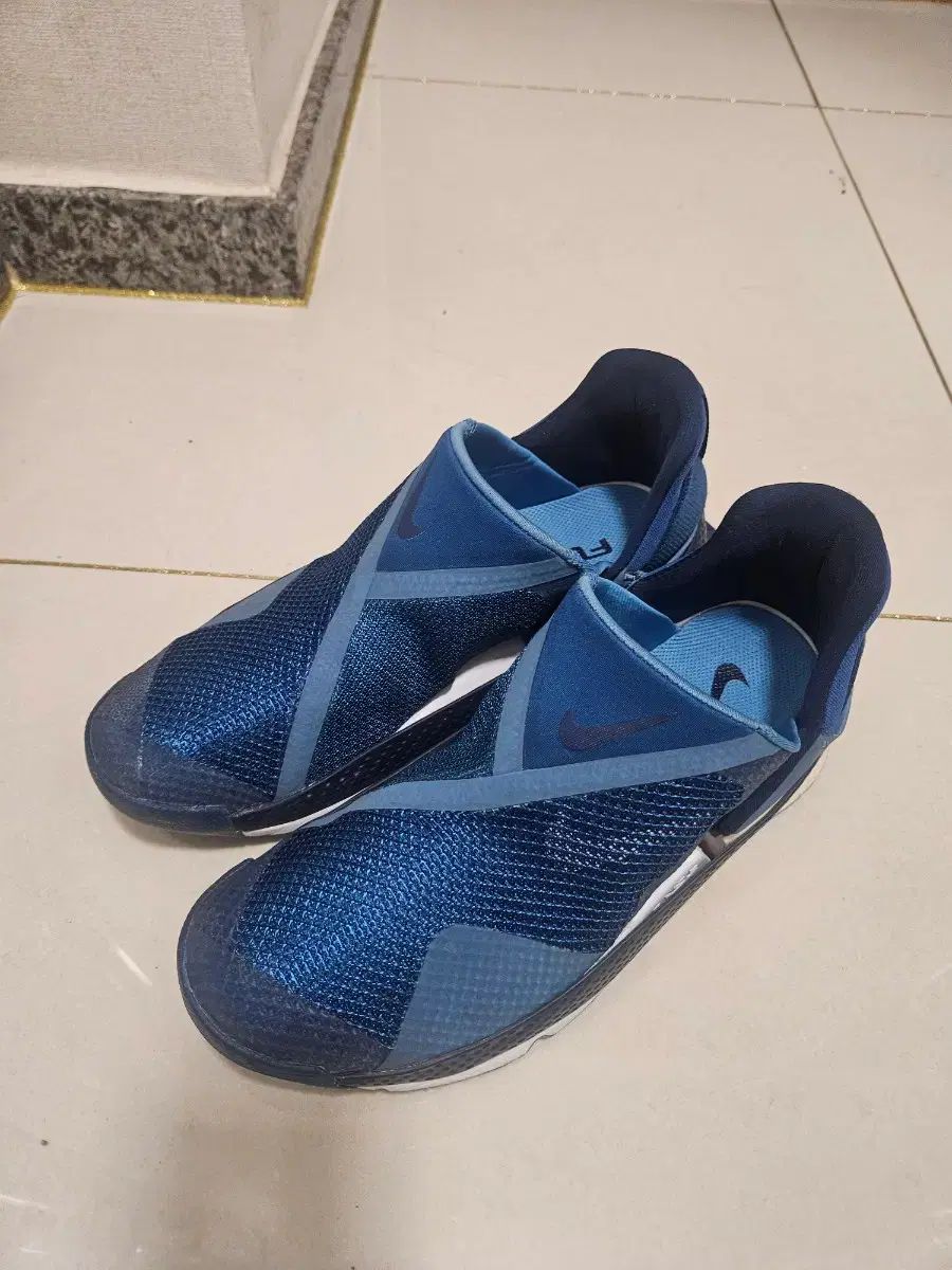 ナイキ ゴー フライイーズ ロートップ 255