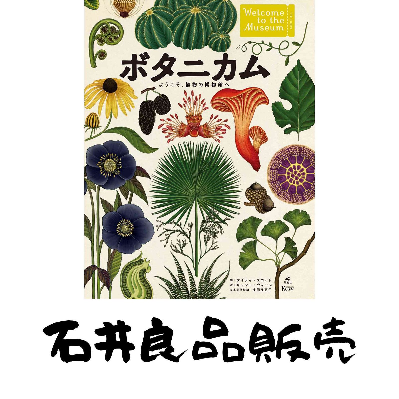 ボタニカム ようこそ、植物の博物館へ キャシー・ウィリス? 多田多恵子
