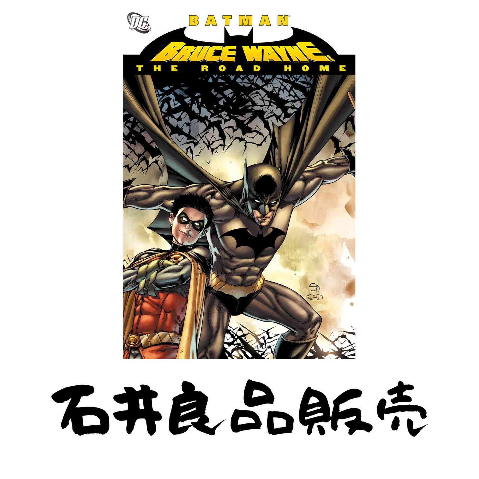 Batman Bruce Wayne The Road Home Various