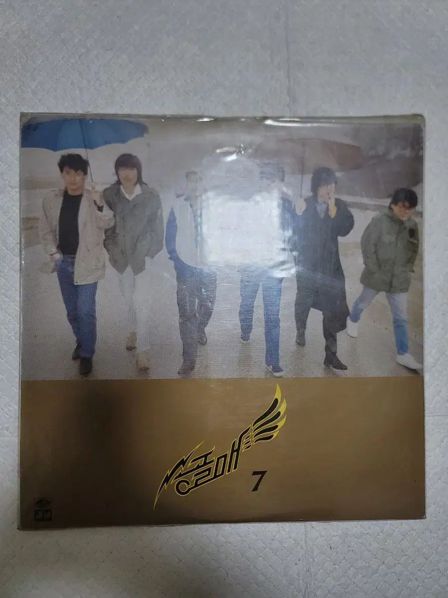 ペレグリン ファルコン 7 家 lp