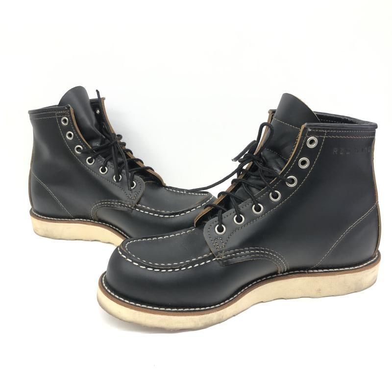 WING アイリッシュセッター