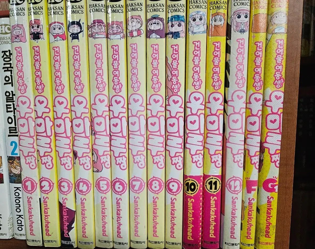 干物 妹 ウマルちゃん 1 12 F G