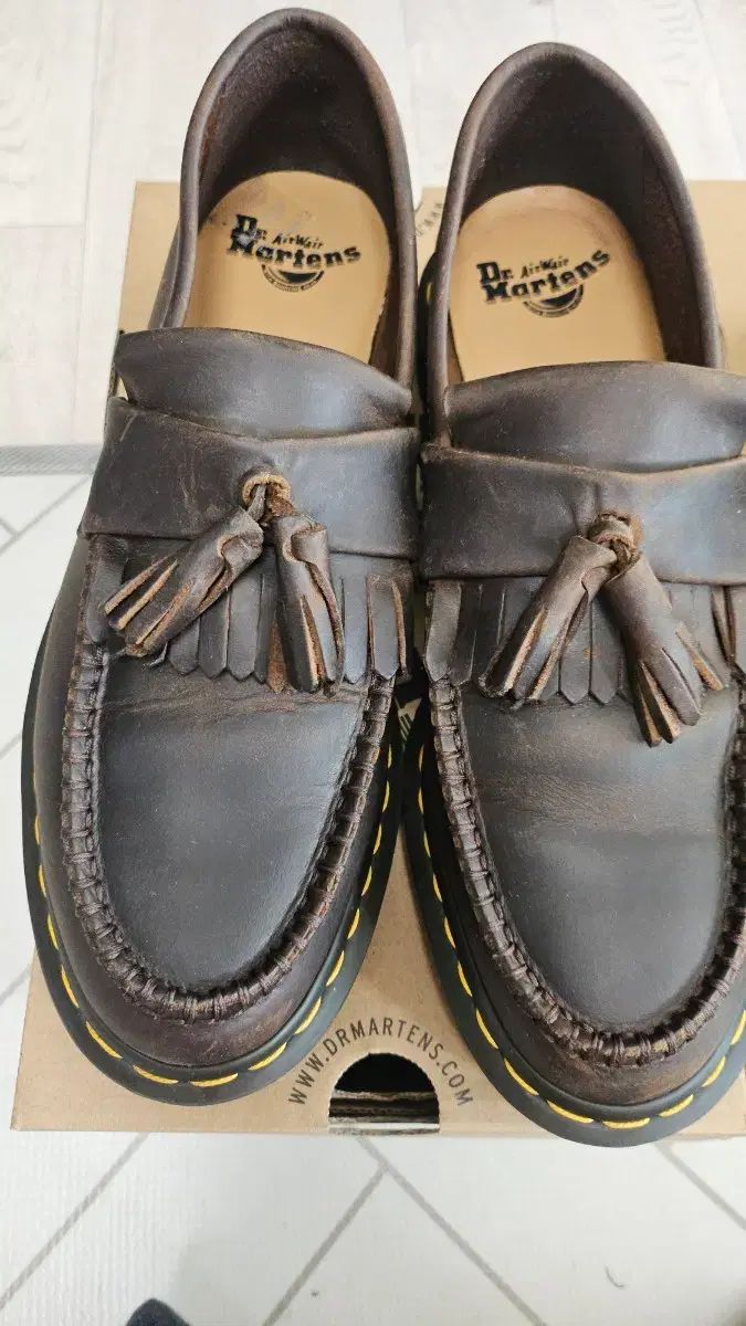 エイドリアン ダークブラウン