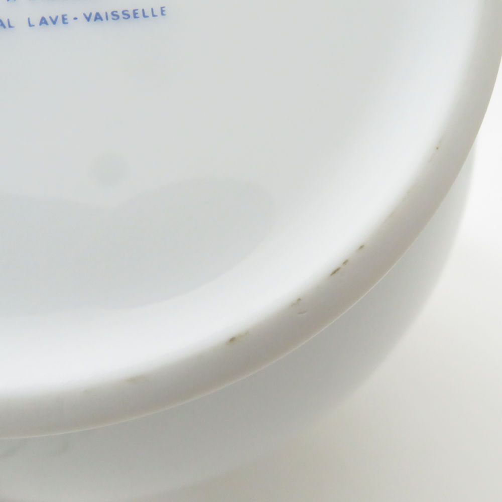 未使用 HAVILAND アビランド Floralies コーヒーポット SM4707U2