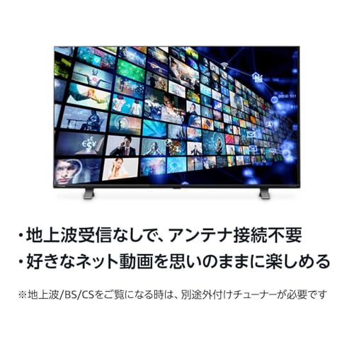 ネット動画対応 地上波受信なし