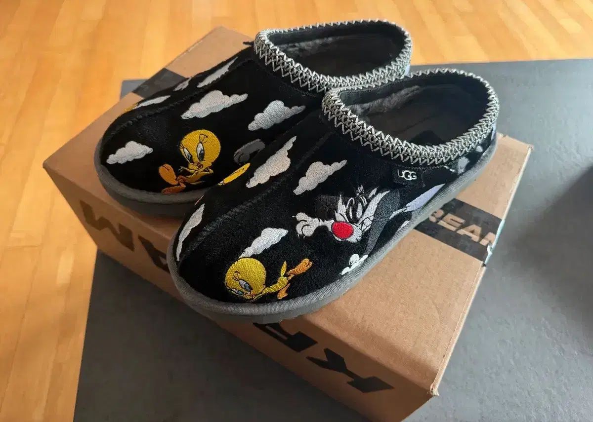 パレス アグ タスマン ルーニー テューン