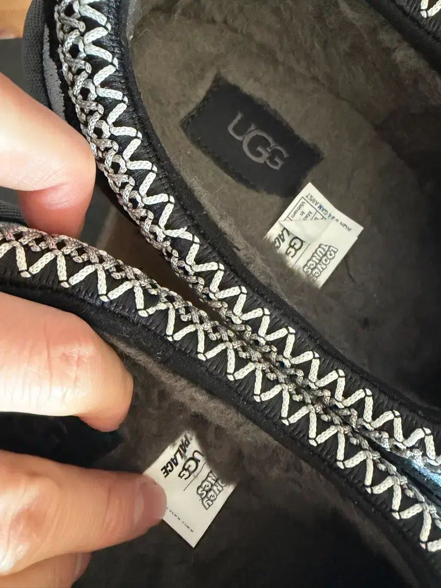 ルーニー テューン