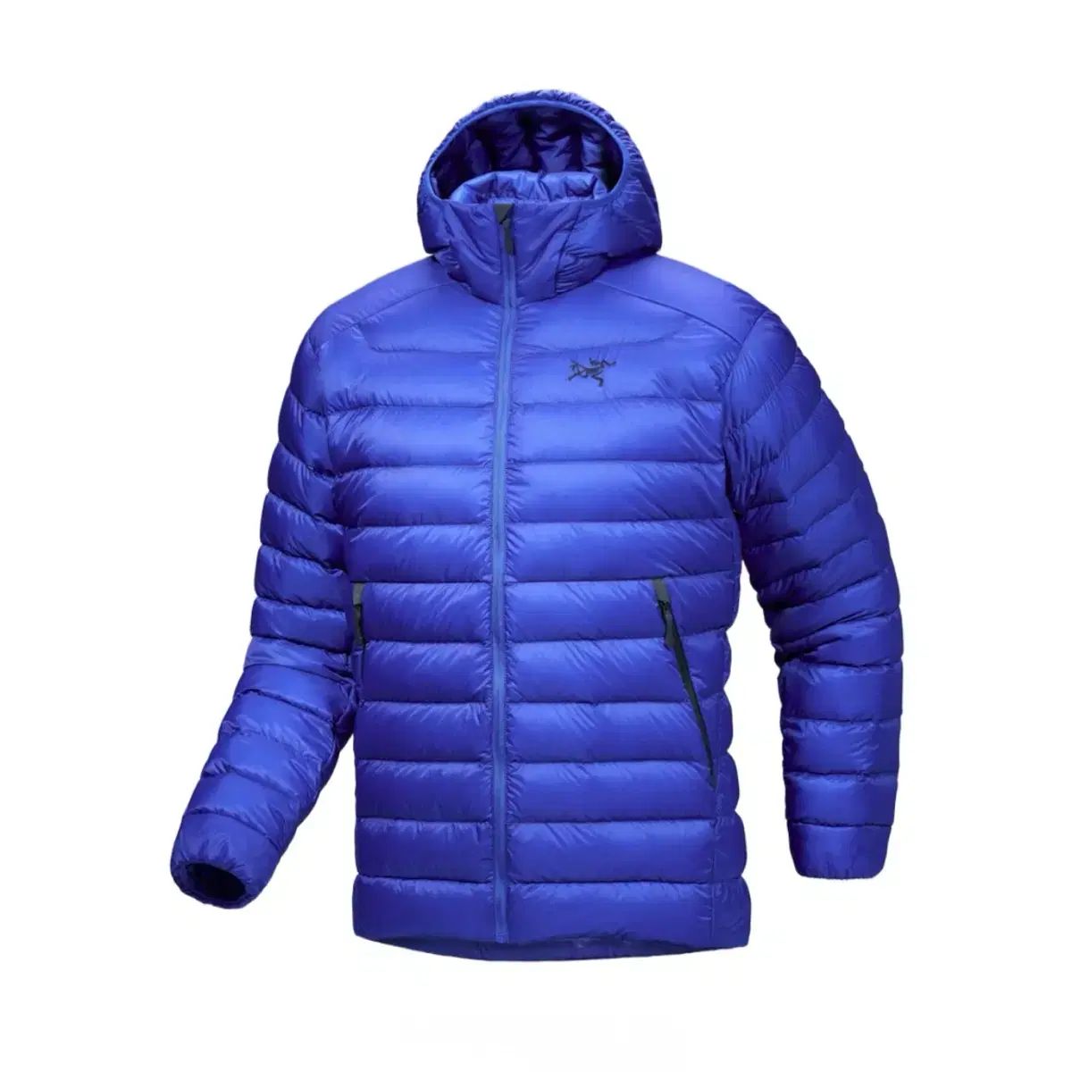 XXL アークテリクス セリウム フーディー バイタリティ