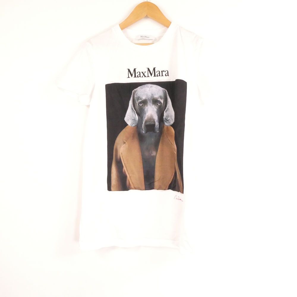 美品 MAXMARA マックスマーラ CIPRIA DOG Tシャツ XS コットン100