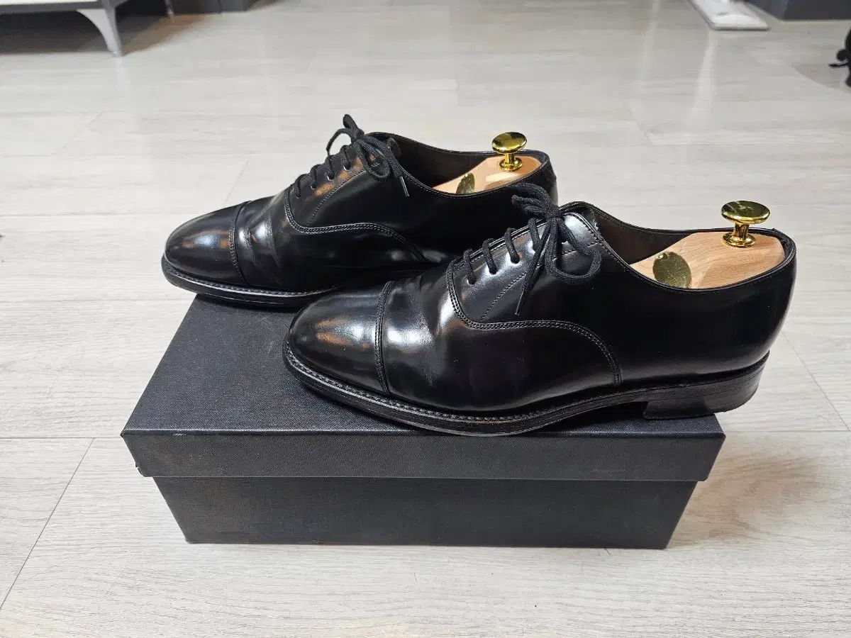 ストレートチップ 6