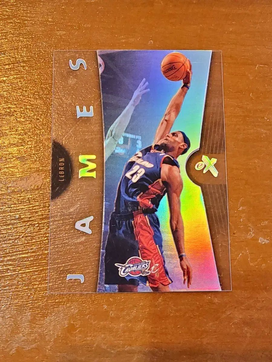 FLEER AUTHENTIX Lebron James 100シリ FLEER AUTHENTIX Lebron James 100シリ