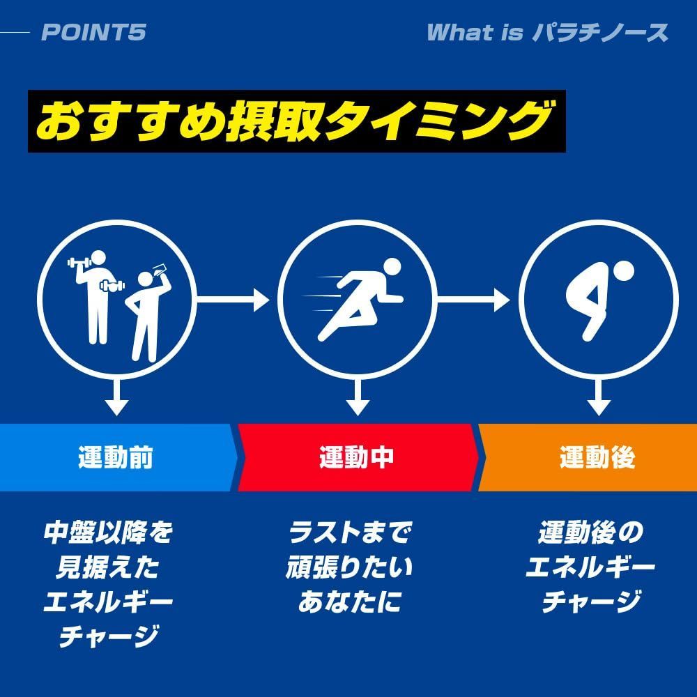 kg パラチノース