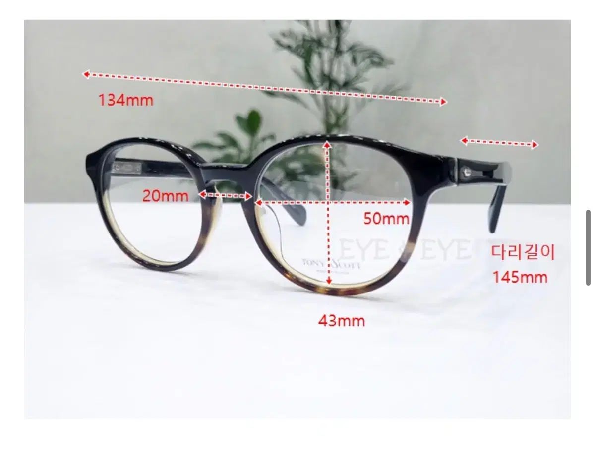 トニースコット メガネ