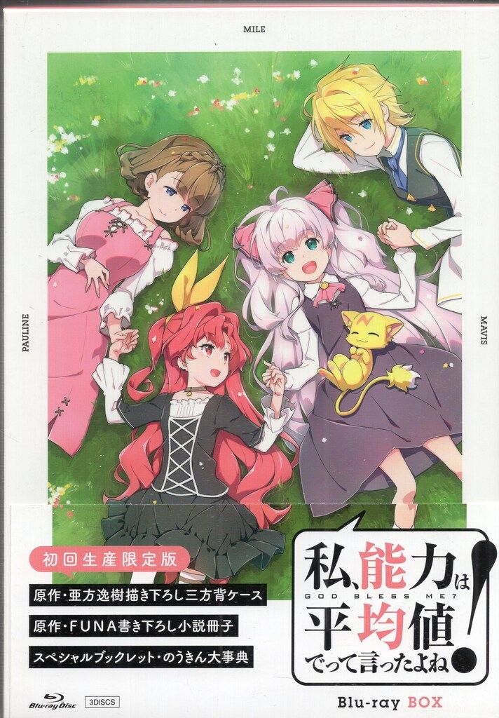 エイベックス ピクチャーズ アニメBlu ray 私 能力は平均値でって言ったよね! Blu BOX