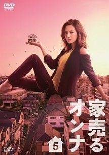 ● 家売るオンナ 11巻セット 帰ってきた家売るオンナ 家売るオンナの逆襲 レンタル落ち DVD
