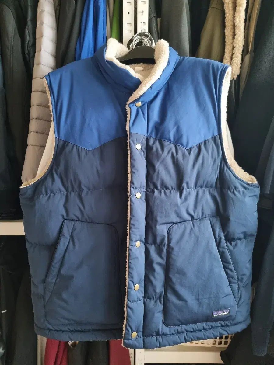 パタゴニア リバーシブル ダウン ベスト