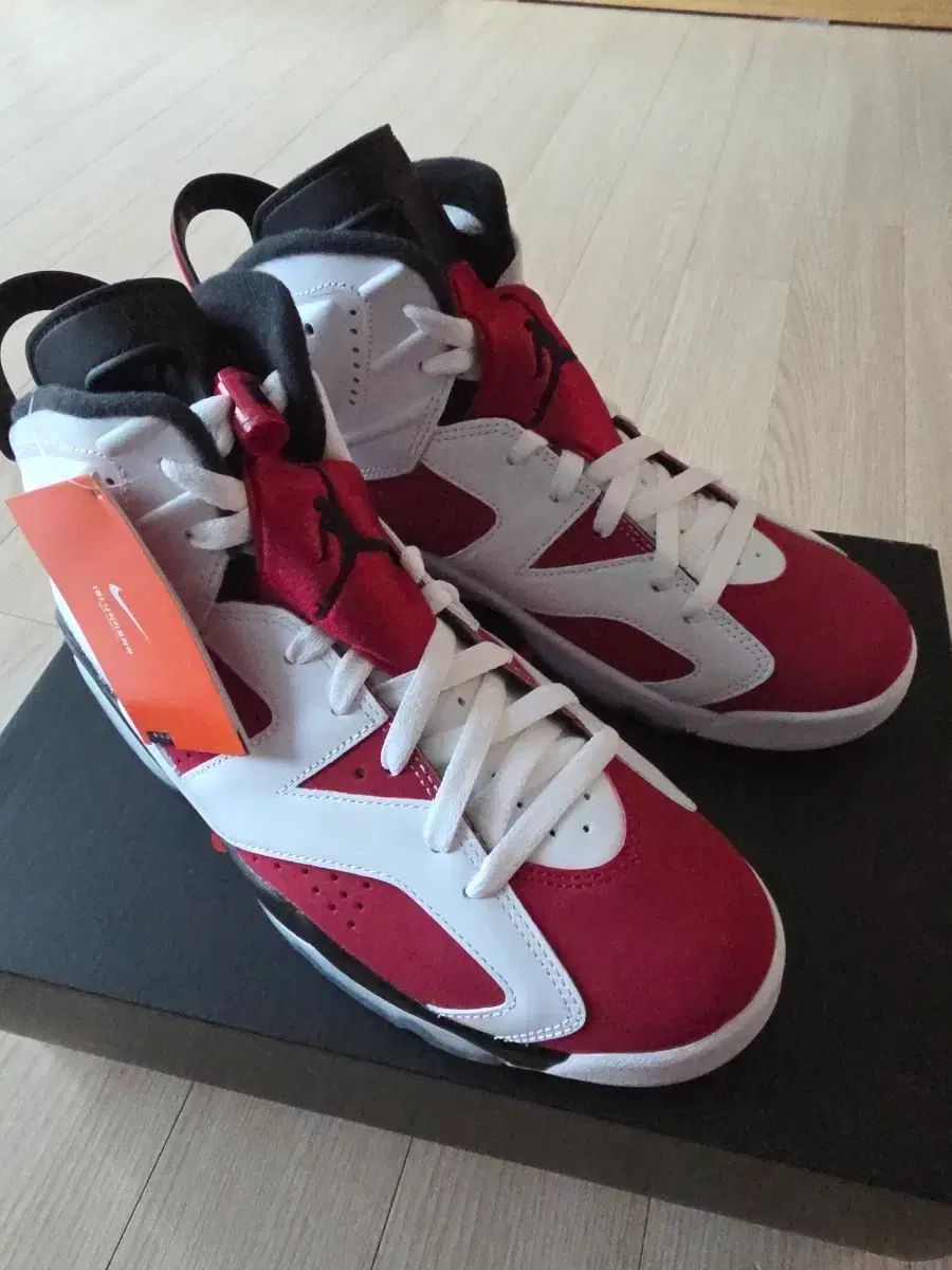 ナイキ エア ジョーダン 6 カーマイン Carmine 270