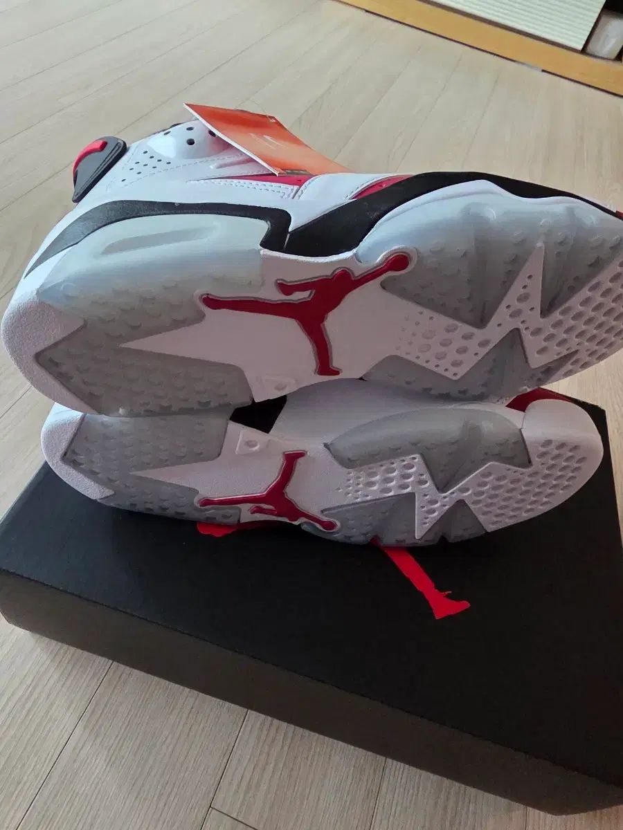 ナイキ エア ジョーダン 6 カーマイン Carmine 270