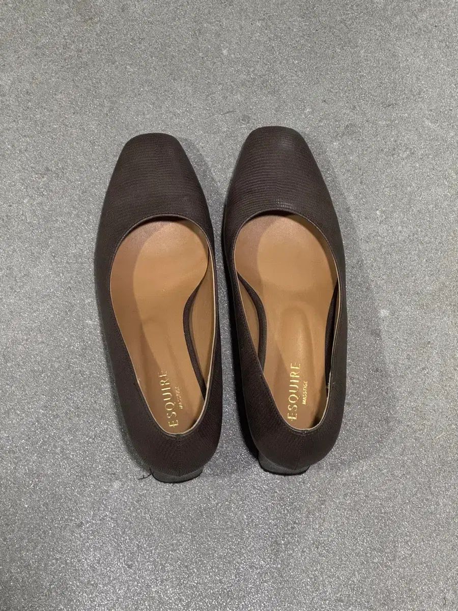 ESQUIRE エスクァイア レディース スポーツブラ ブラウン フラット シューズ