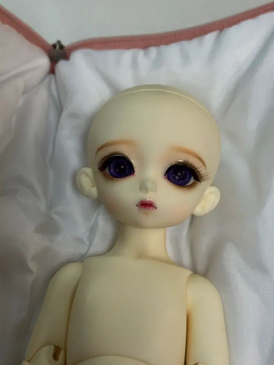 ルーツ HONEY DELF マドレーヌ 服 ウィッグ まとめ