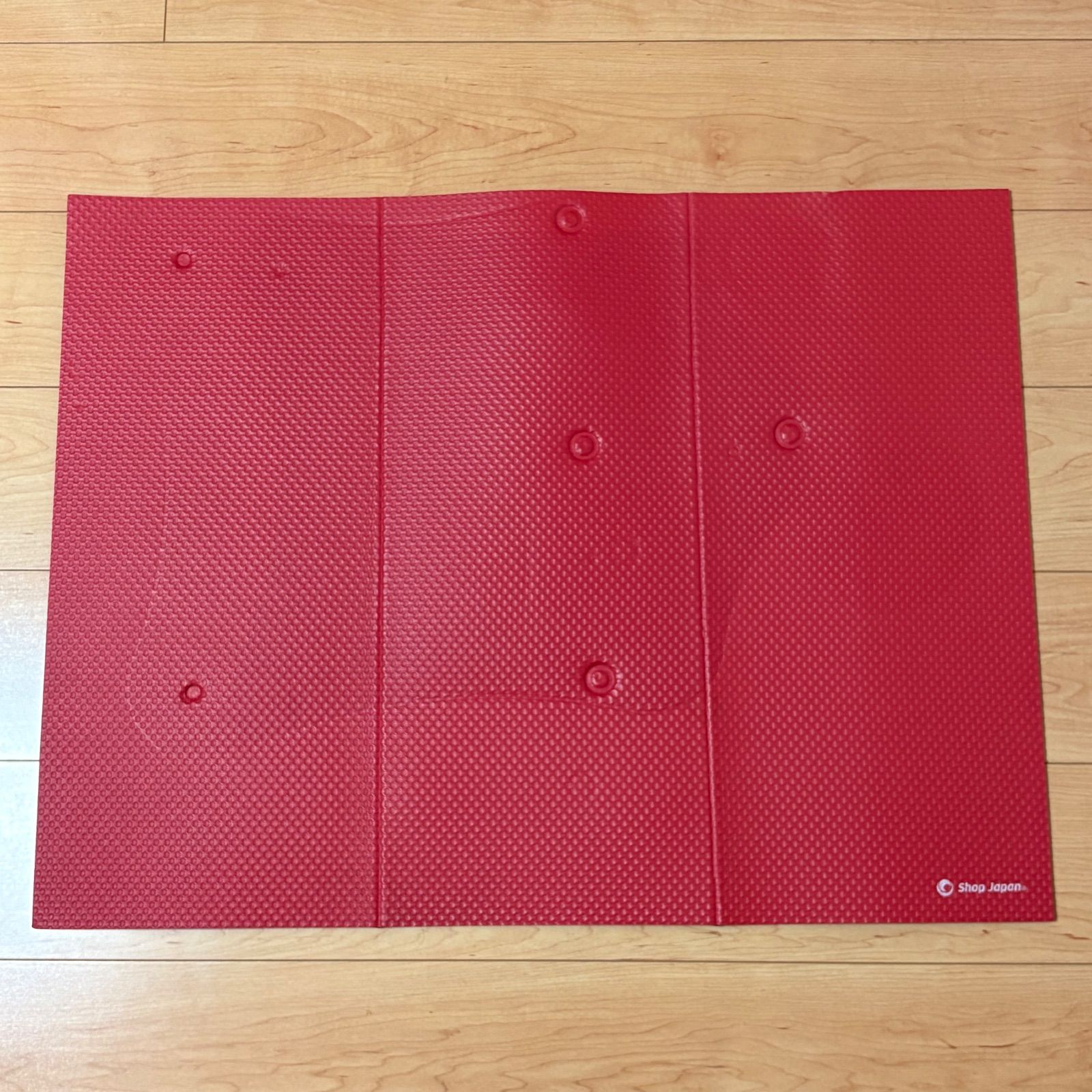 ナイスデイ NICE DAY 健康ステッパー 専用ハンドル・マット付 レッド