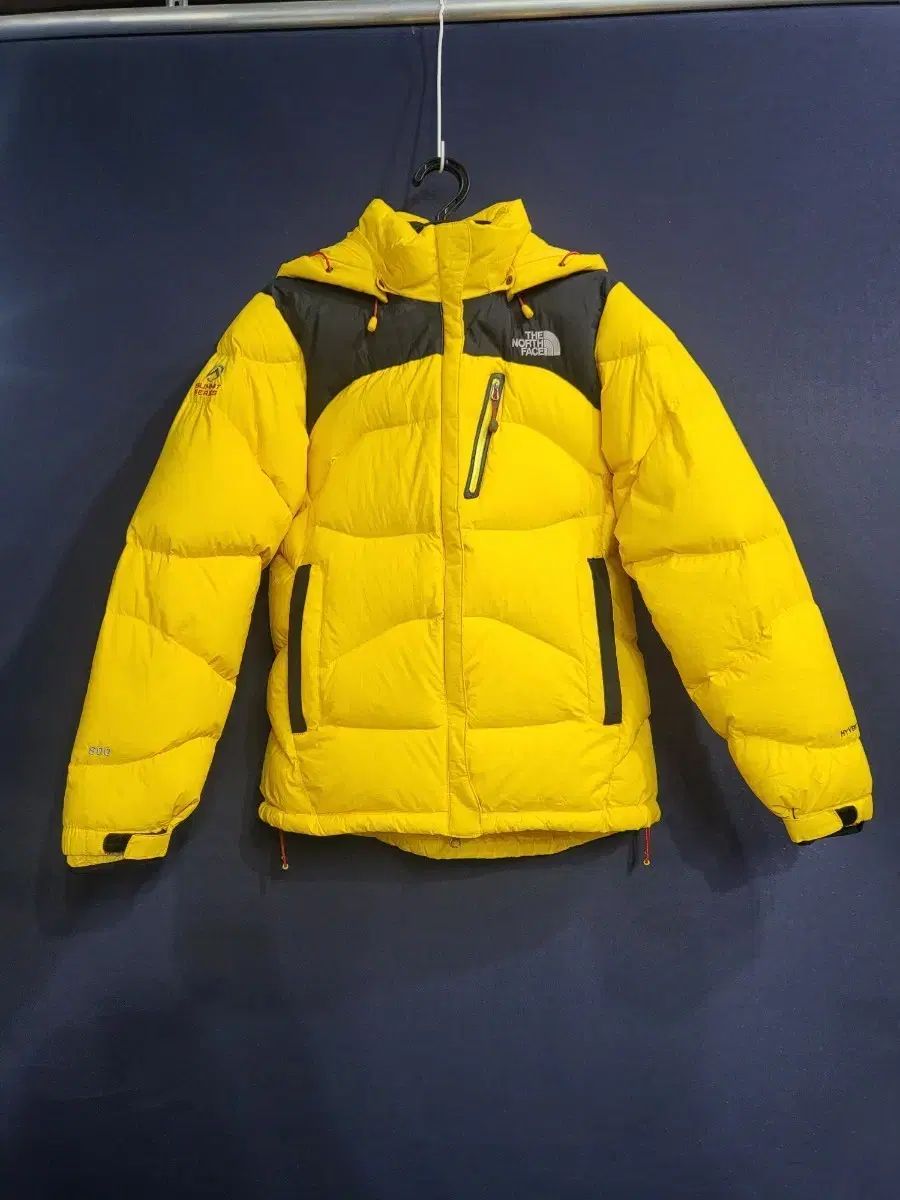 THE NORTH FACE ザノースフェイス グースダウン 800フィル ダウン