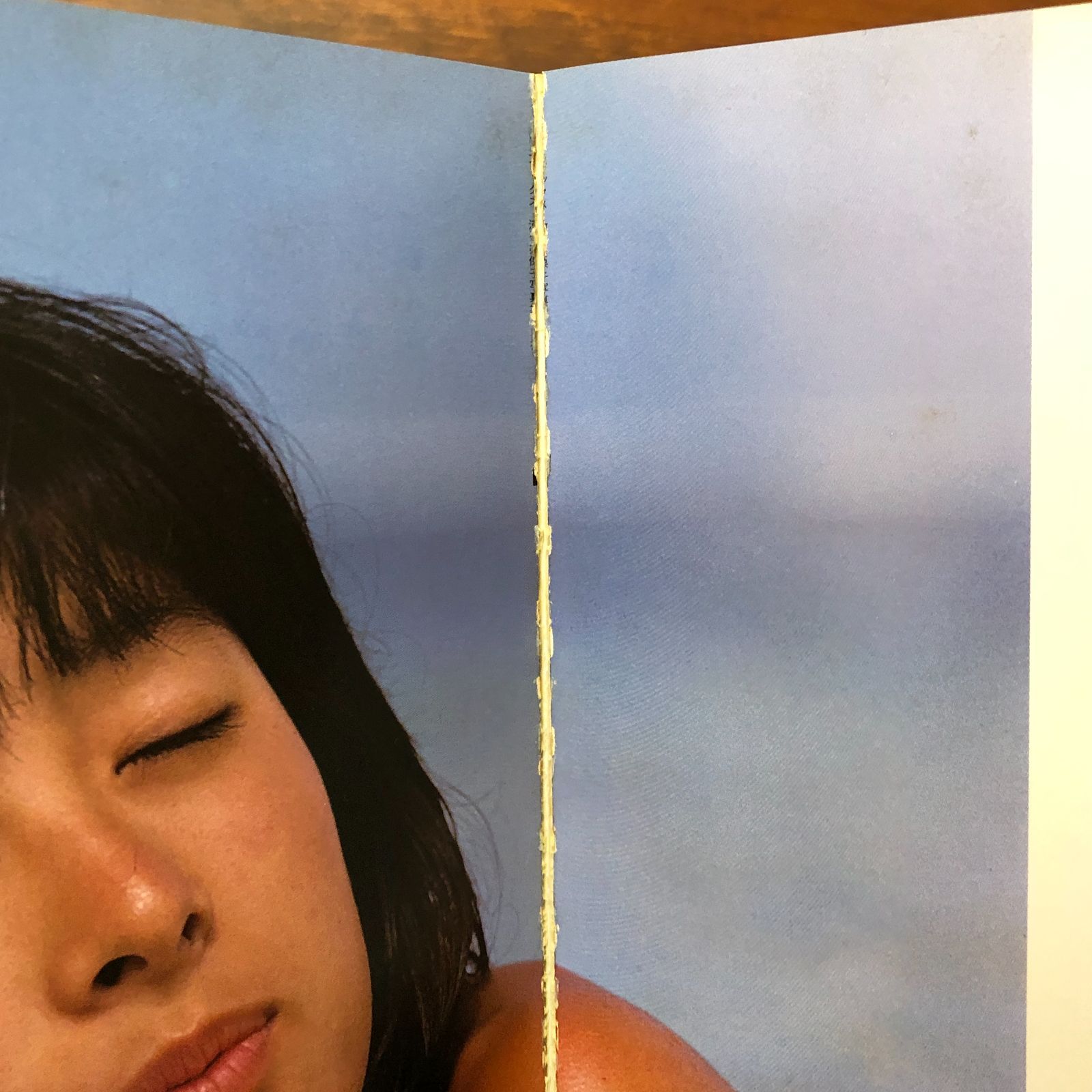 さま?ひろいん NAOKO 河合奈保子写真集 河合奈保子 ワニブックス 昭和