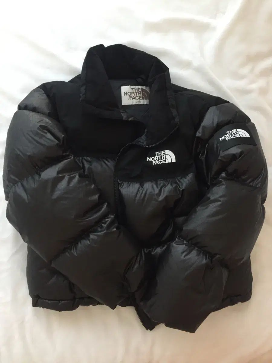 1回着用 THE NORTH FACE ザノースフェイス 1996 エコー Nuptse ヌプシ ダウン 光沢 ブラック L