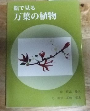 k1895☆絵で見る万葉の植物 絵/酢山隆久 文・解説/尾崎富義☆N - メルカリ