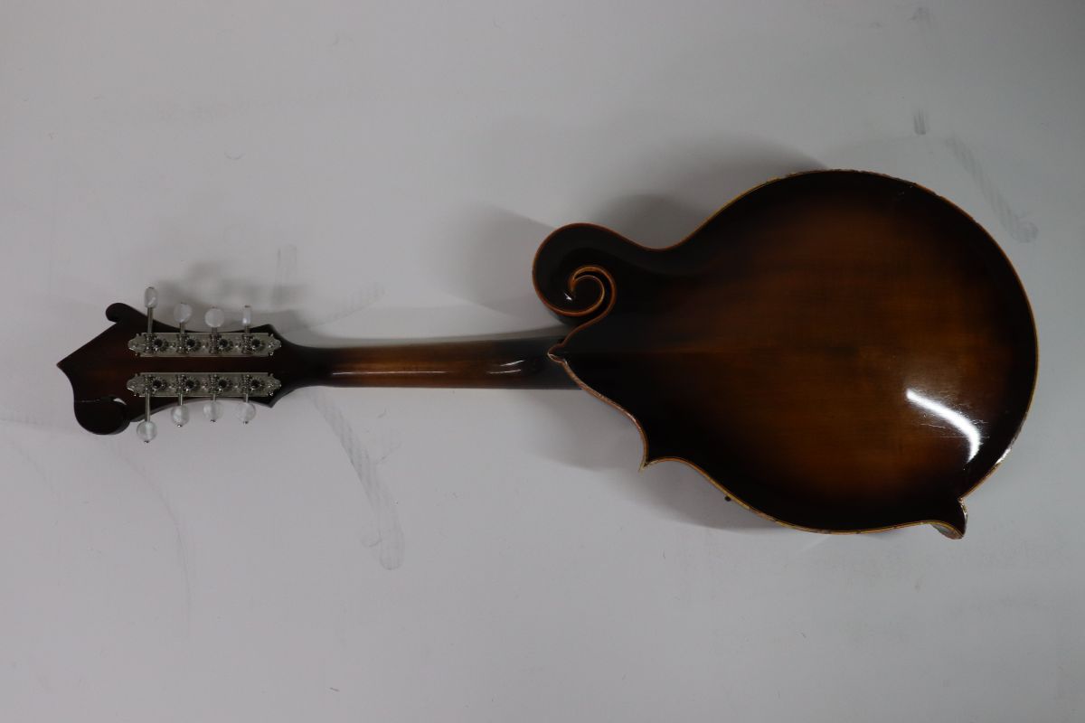 Blue Bell ブルーベル F 12 Flat Mandolin フラットマンドリン 01100