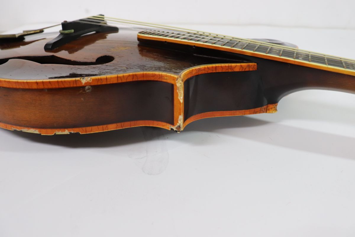 Blue Bell ブルーベル F-12 Flat Mandolin フラットマンドリン /01100