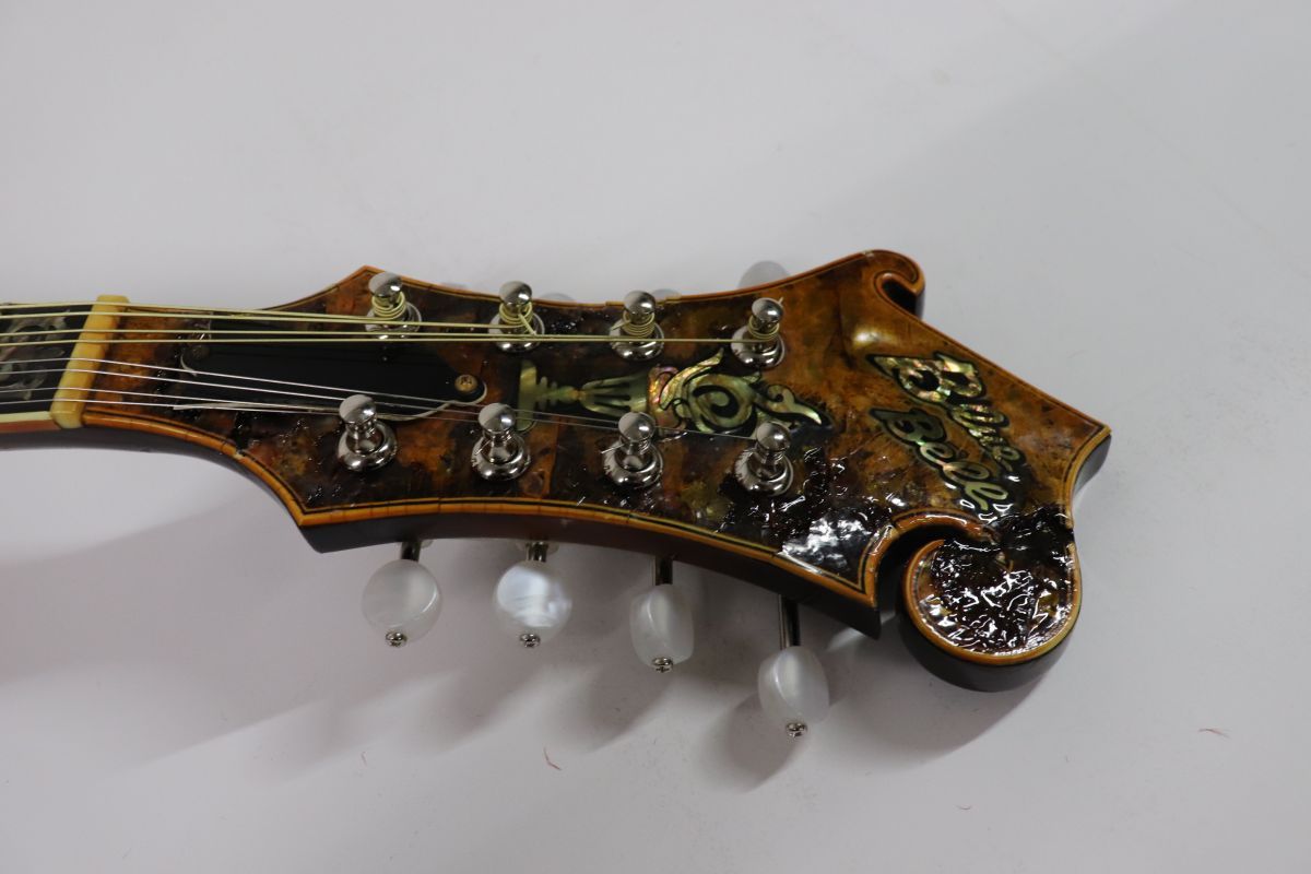 Blue Bell ブルーベル F-12 Flat Mandolin フラットマンドリン /01100