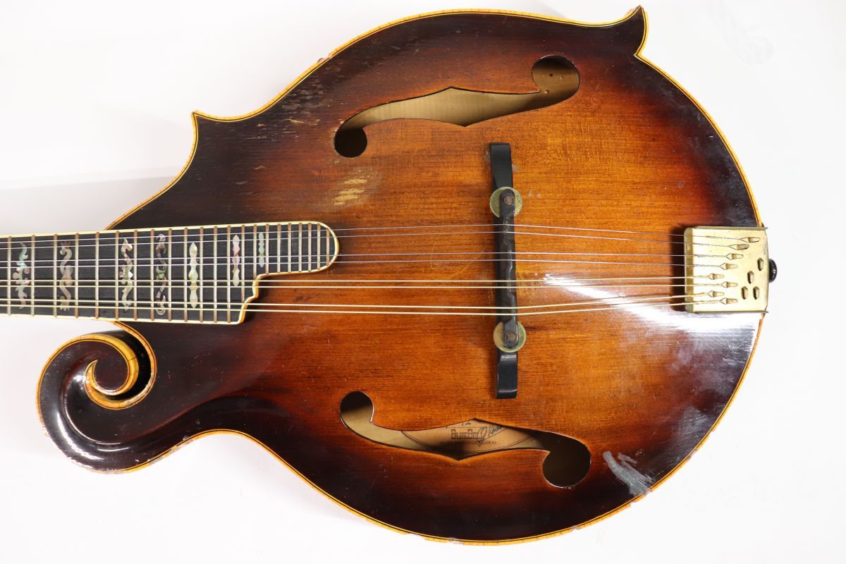 Blue Bell ブルーベル F-12 Flat Mandolin フラットマンドリン /01100