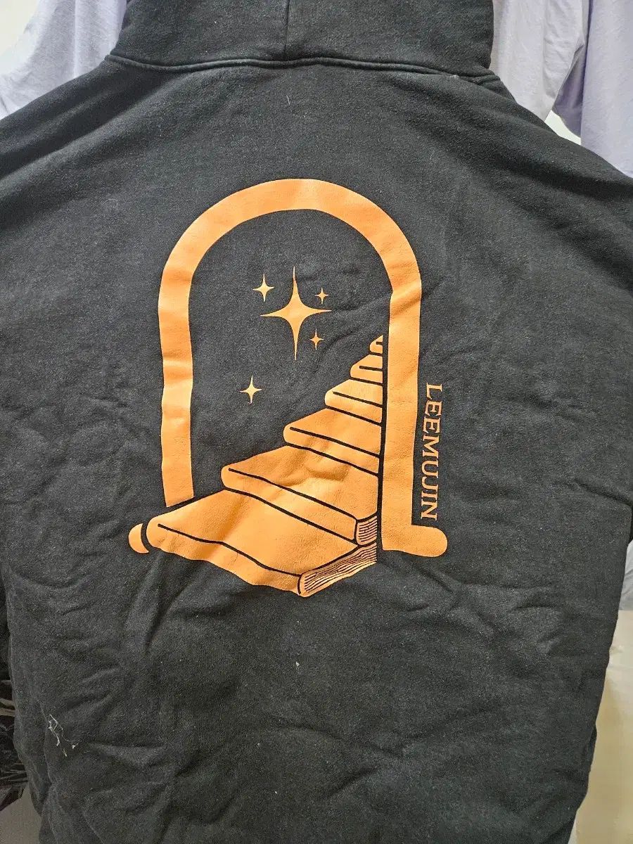 イム ジンの全国ツアーコンサート 別冊付録 モデル フーディー Tシャツ