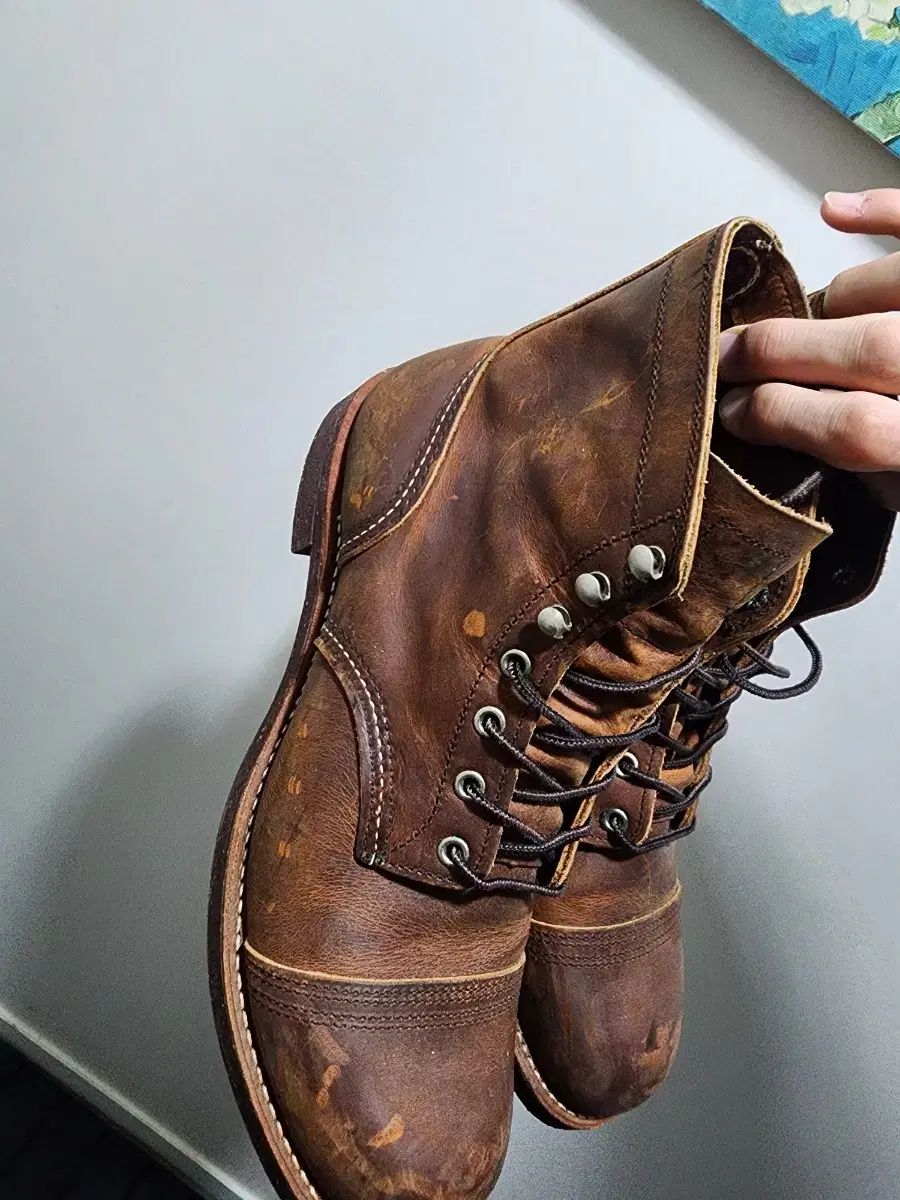 D レッドウィング