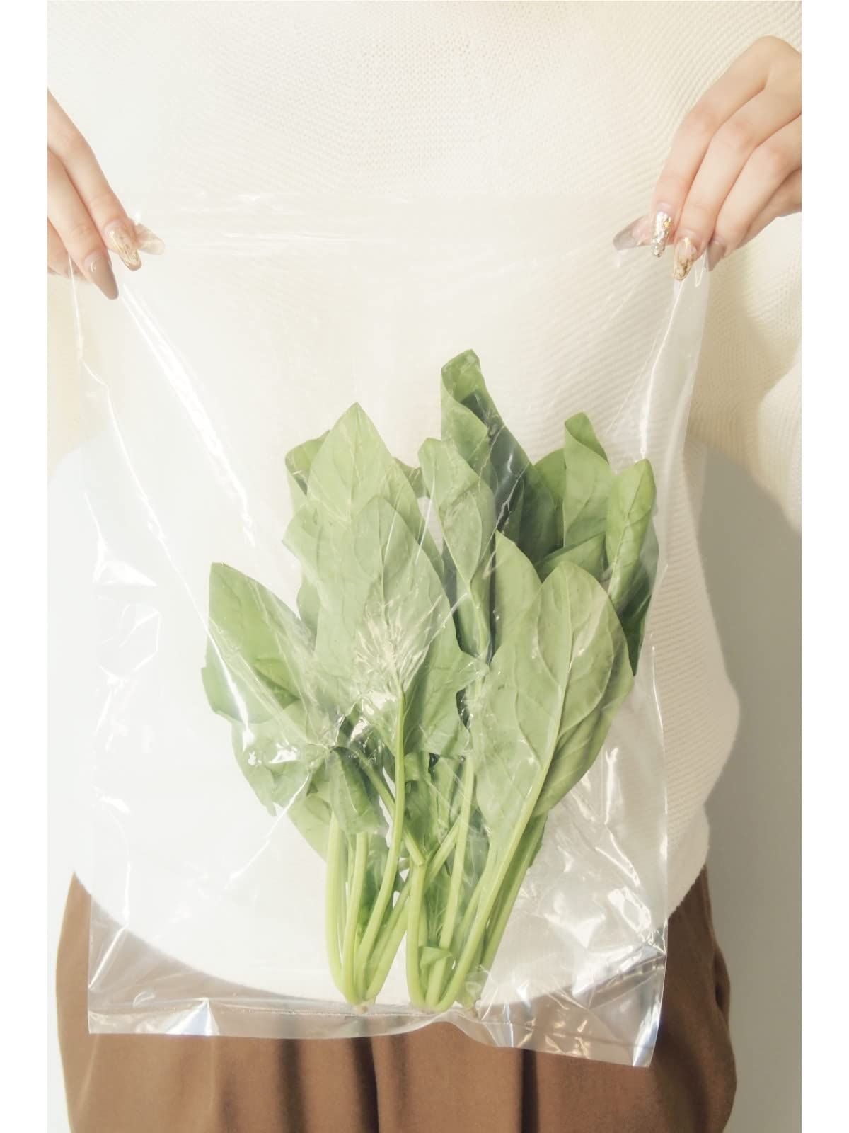 食品保存 ポリ袋 規格袋 オルディ 透明 13号 縦38 横26 cm 入 食品衛生法適合品 ビニール袋 ポリバッグ L 03 13