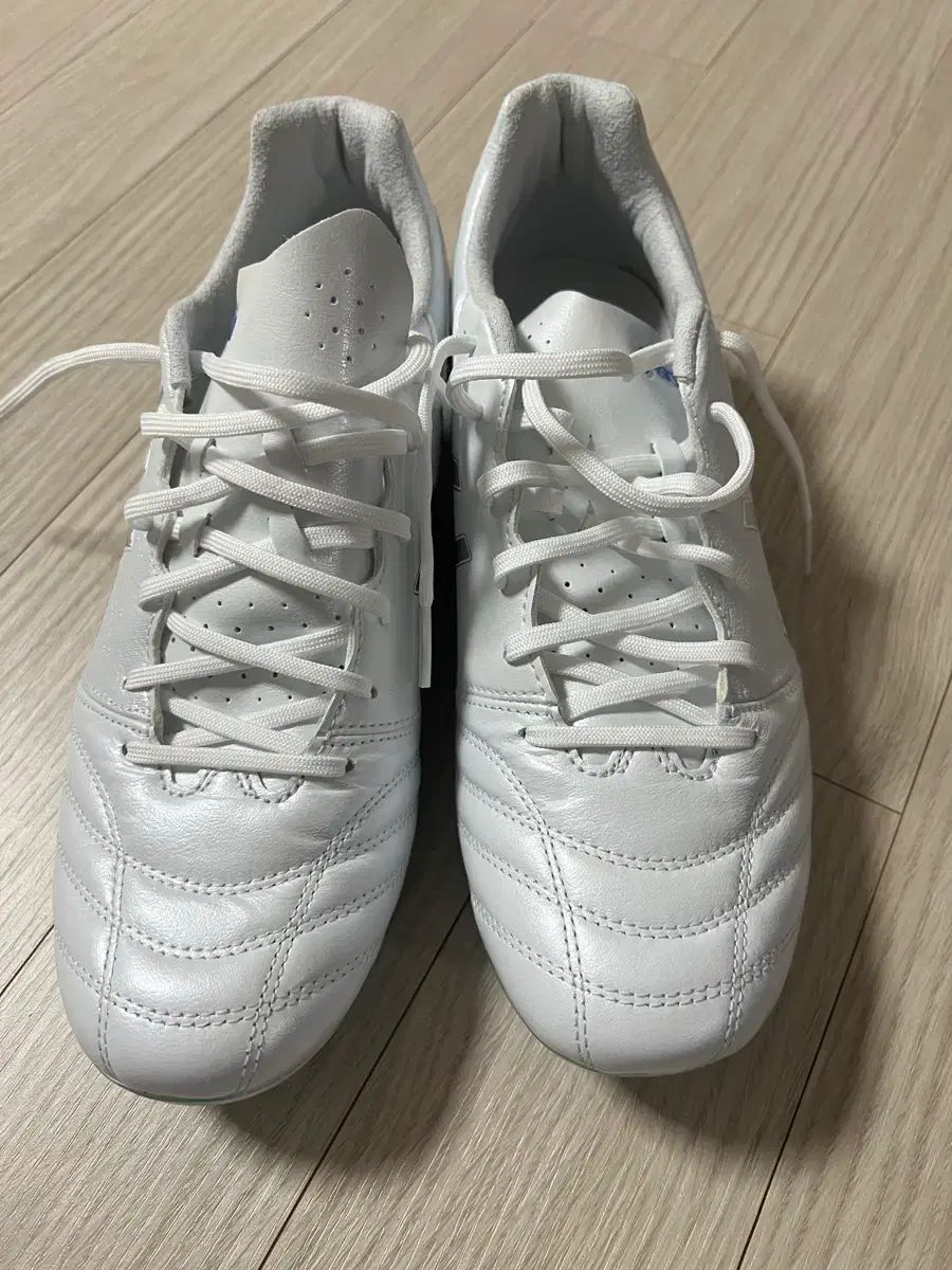 アシックス ds light pro ag